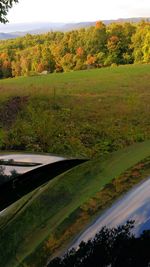 Scenic view of grassy field