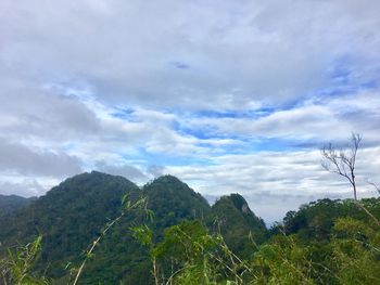 Scenic view of tree mountains against sky