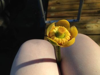 Low section of woman with yellow flower