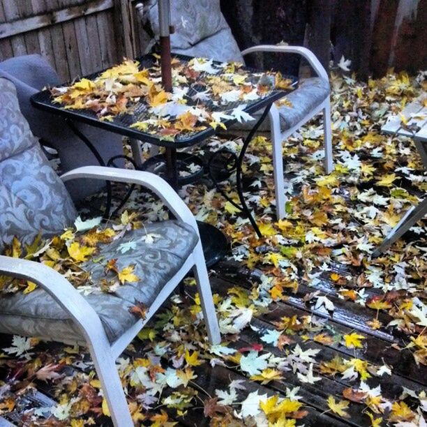 autumn, abundance, large group of objects, leaf, dry, high angle view, season, day, stone - object, food and drink, freshness, outdoors, fallen, one person, change, nature, leaves, variation, food