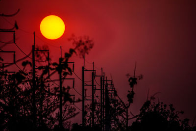 Low angle view of silhouette trees against orange sky