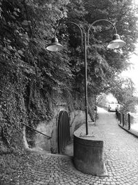 Street light on footpath by wall