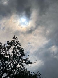 Low angle view of silhouette tree against sky