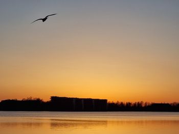 Silhouette bird flying over lake against sky during sunset