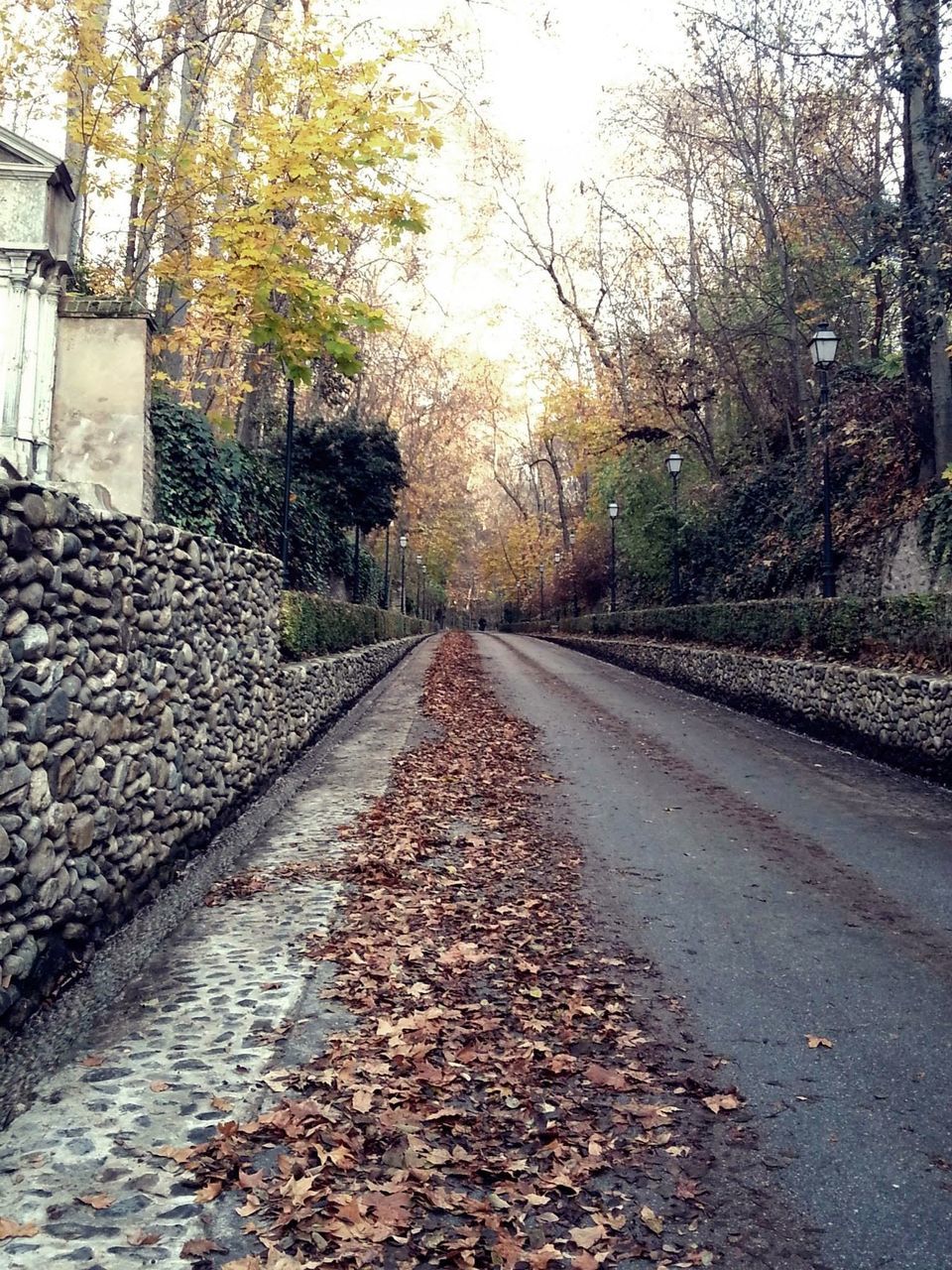 the way forward, diminishing perspective, vanishing point, tree, street, surface level, long, cobblestone, built structure, transportation, walkway, footpath, narrow, road, day, architecture, outdoors, nature, pathway, no people