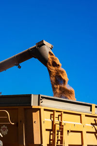 Low angle view of horse against clear blue sky