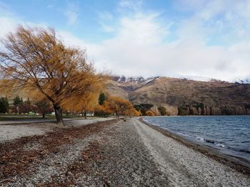 Autumn trees at lakeshore against mountains