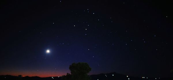 Low angle view of star field against sky at night