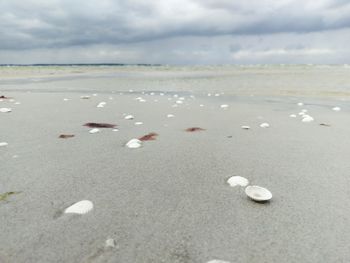 Close-up of sand on beach against sky