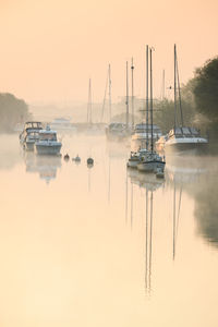 Sailboats moored in harbor at sunset