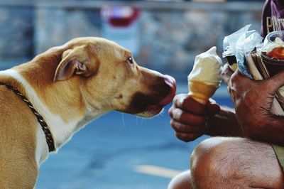 Close-up of man holding dog