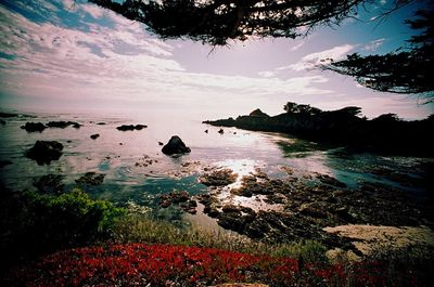 Scenic view of sea against sky at sunset