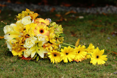 Close-up of yellow flowers