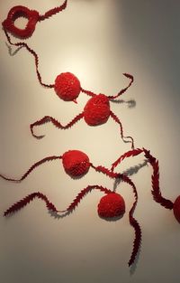 Close-up of red berries hanging