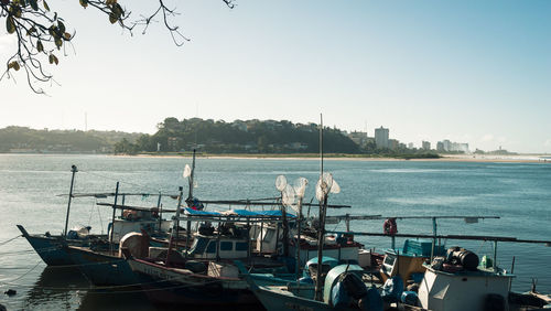 Boats moored at harbor against clear sky