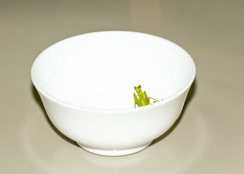 High angle view of lemon in plate on table