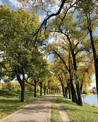 Empty road along trees in park during autumn