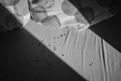 Close-up of shadow on bed at home