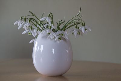 Close-up of white vase on table