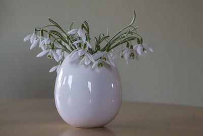 A white vase with snowdrops