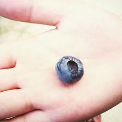 Close-up of hand feeding