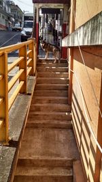 View of cat on steps