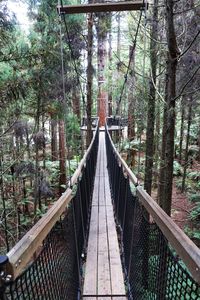 Footbridge amidst trees in forest