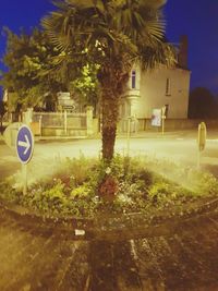 Road sign by palm trees and plants in city against sky