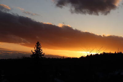 Silhouette trees on landscape against sky at sunset