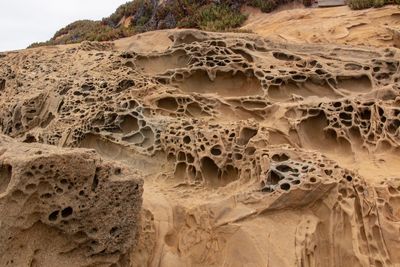 Close-up of rock on land