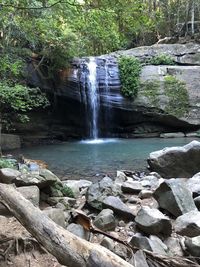 Scenic view of waterfall in forest