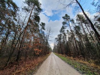 Road amidst trees in forest against sky