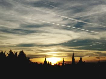 Silhouette of trees at sunset