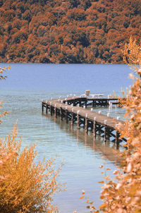 Scenic view of lake during autumn