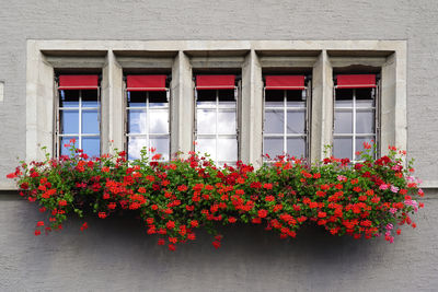 Low angle view of windows 