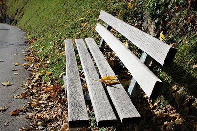 Empty wooden bench in park during autumn. stock photo copy space 