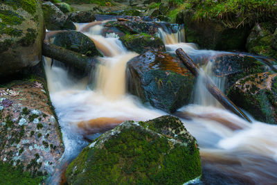 View of waterfall in forest