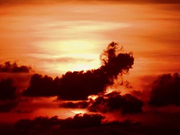 Low angle view of silhouette trees against dramatic sky