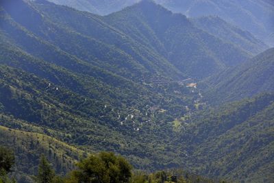 High angle view of trees and mountains