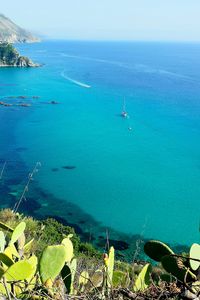 Aerial view of seascape