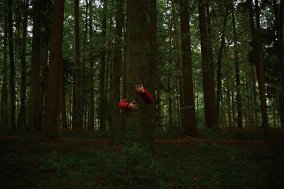 Side view of man standing by trees in forest