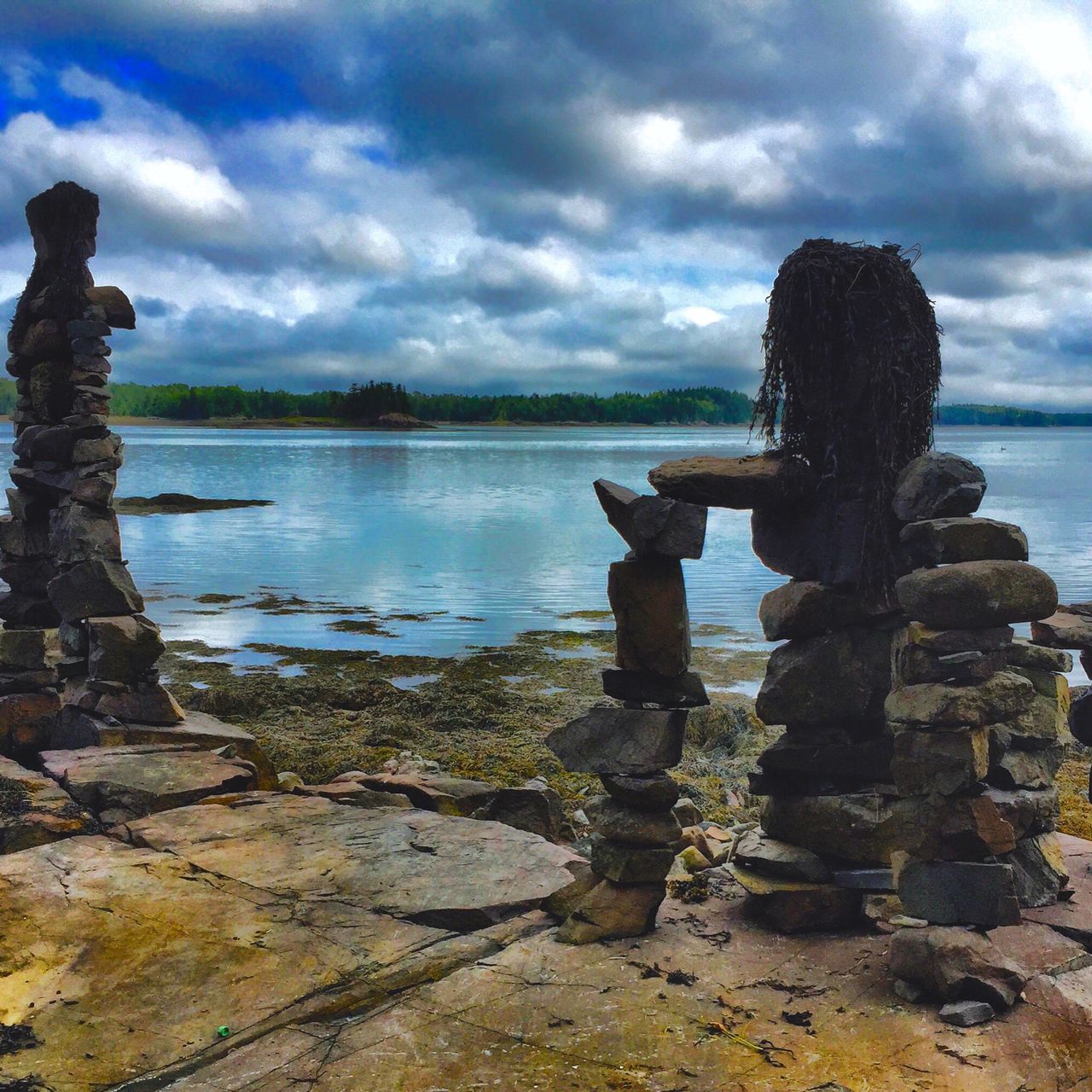 Cobscook Bay State Park