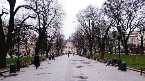 Walkway along trees in park