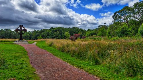 Scenic view of trees on field against sky