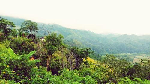 Scenic view of mountains against clear sky