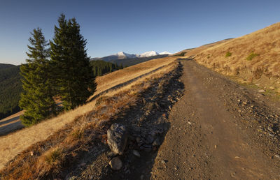 Road amidst trees against clear sky