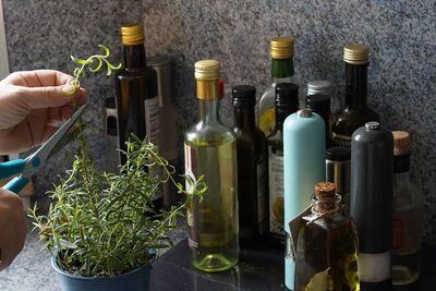 Close-up of rosemary with oil bottles