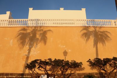 Low angle view of trees and building against sky