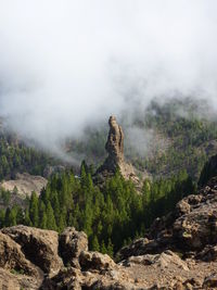 Trees on rocky landscape against clouds