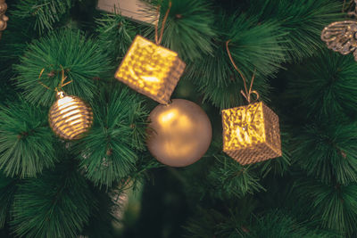 Close-up of christmas decorations hanging on tree